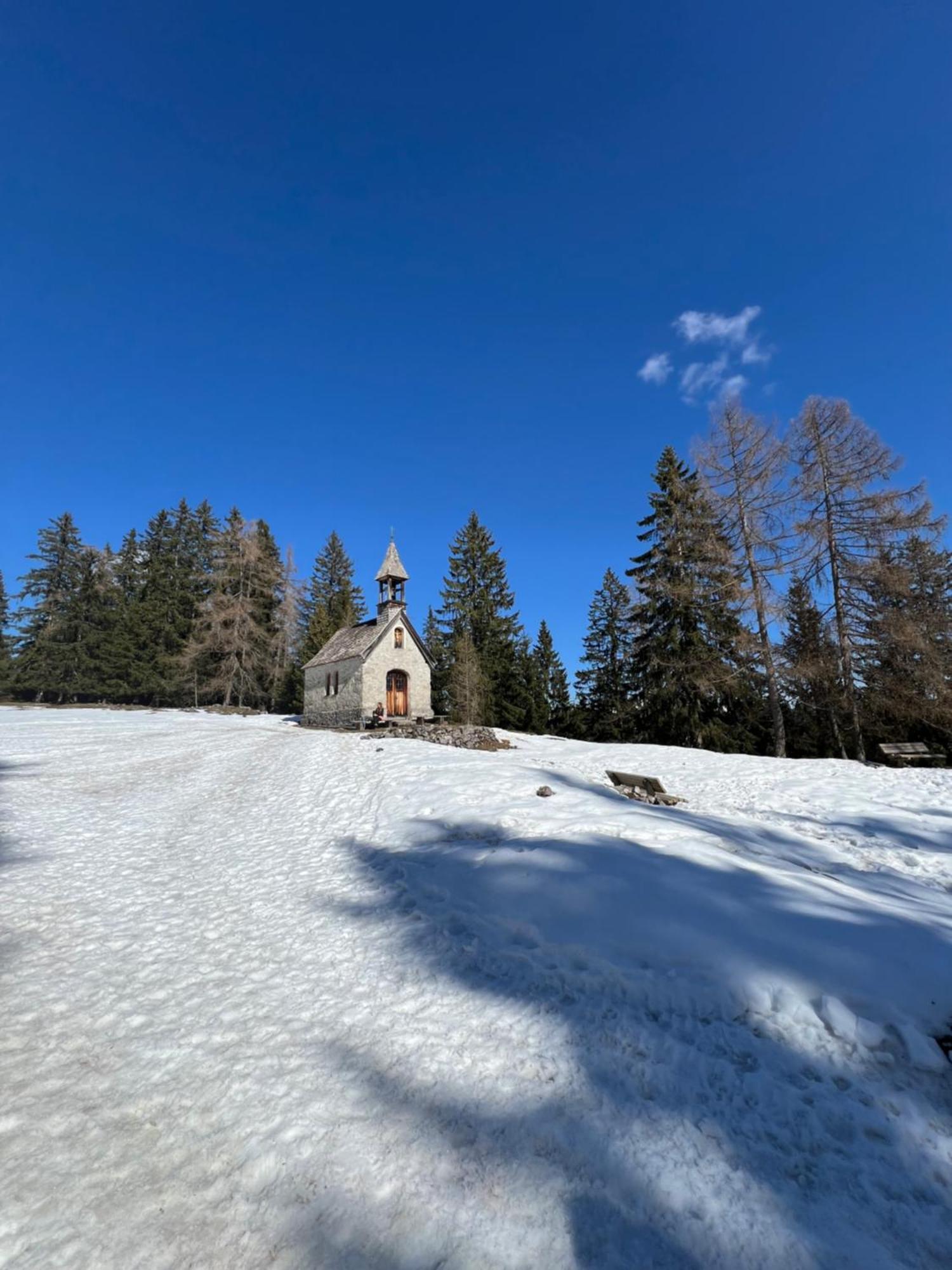 Apartament Gaestehaus Bergwinkl *